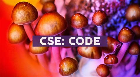 Codebase forms Titan Shrooms & Psychedelics to invest in .